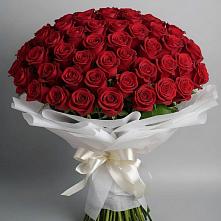 101 Красная роза Блэк Мэджик в Санамере Букет 101 Красная роза Блэк Мэджик в Санамере