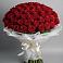 101 Красная роза Блэк Мэджик в Санамере Букет 101 Красная роза Блэк Мэджик в Санамере