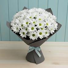 Букет белые хризантемы #REPLACE_PRED# Санамере Букет цветов из:  Хризантемы #REPLACE_PRED# Санамере