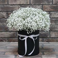 Композиция коробка гипсофил в Санамере Цветочная композиция из Гипсофила в шляпной коробке в Санамере
